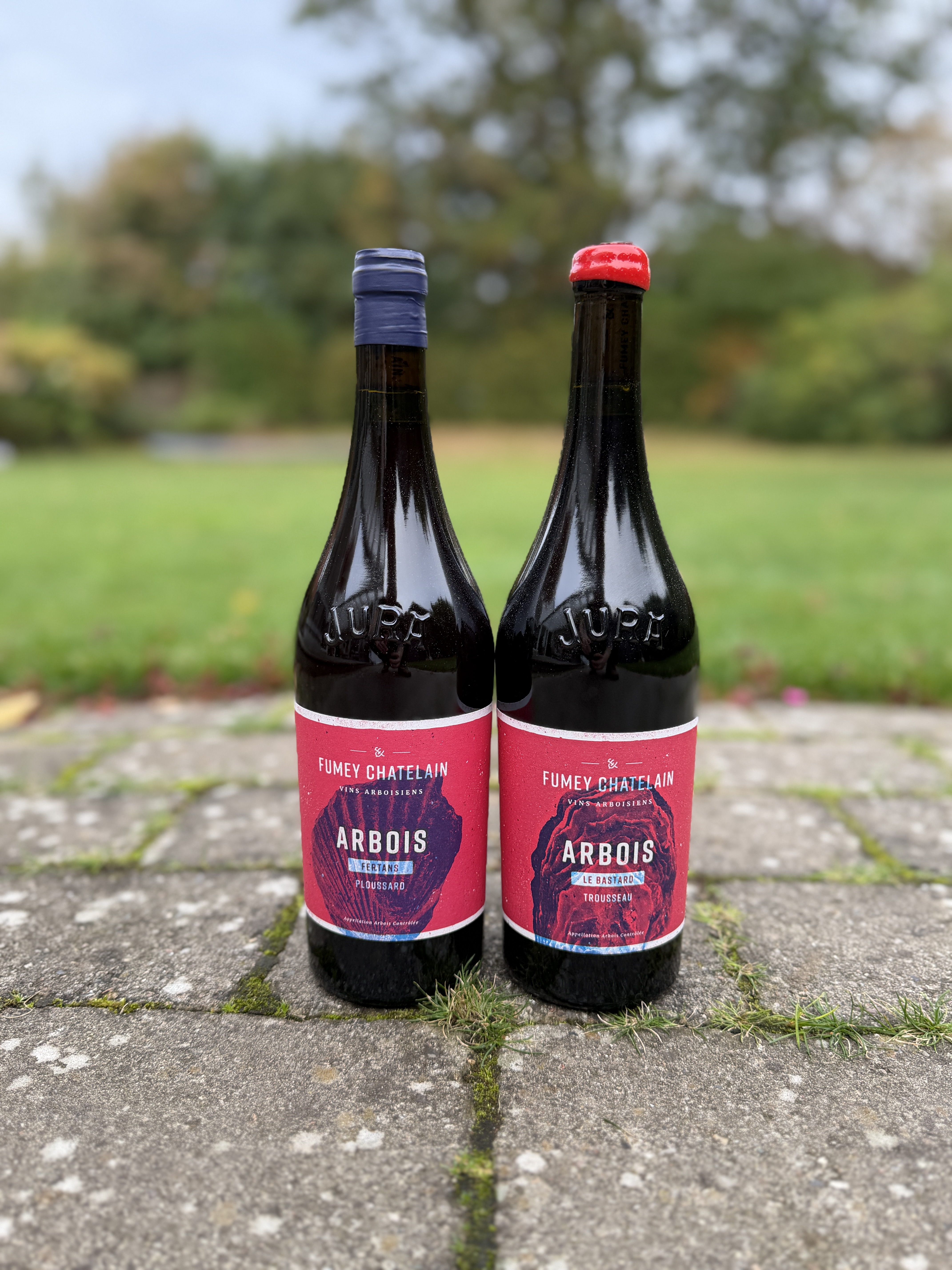 Domaine Fumey Chatelain - Søllerød Vin