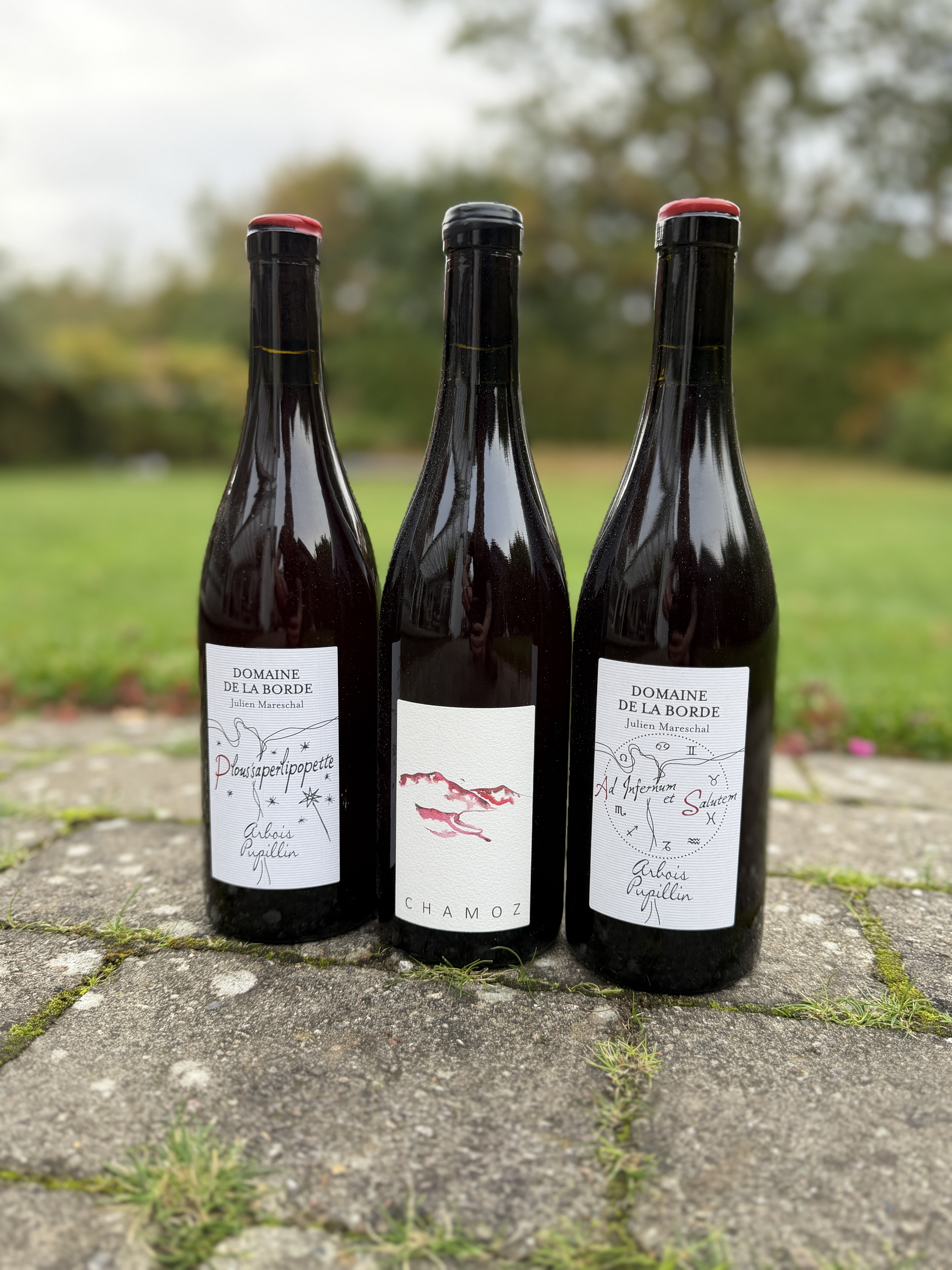 Domaine de la Borde - Søllerød VIn
