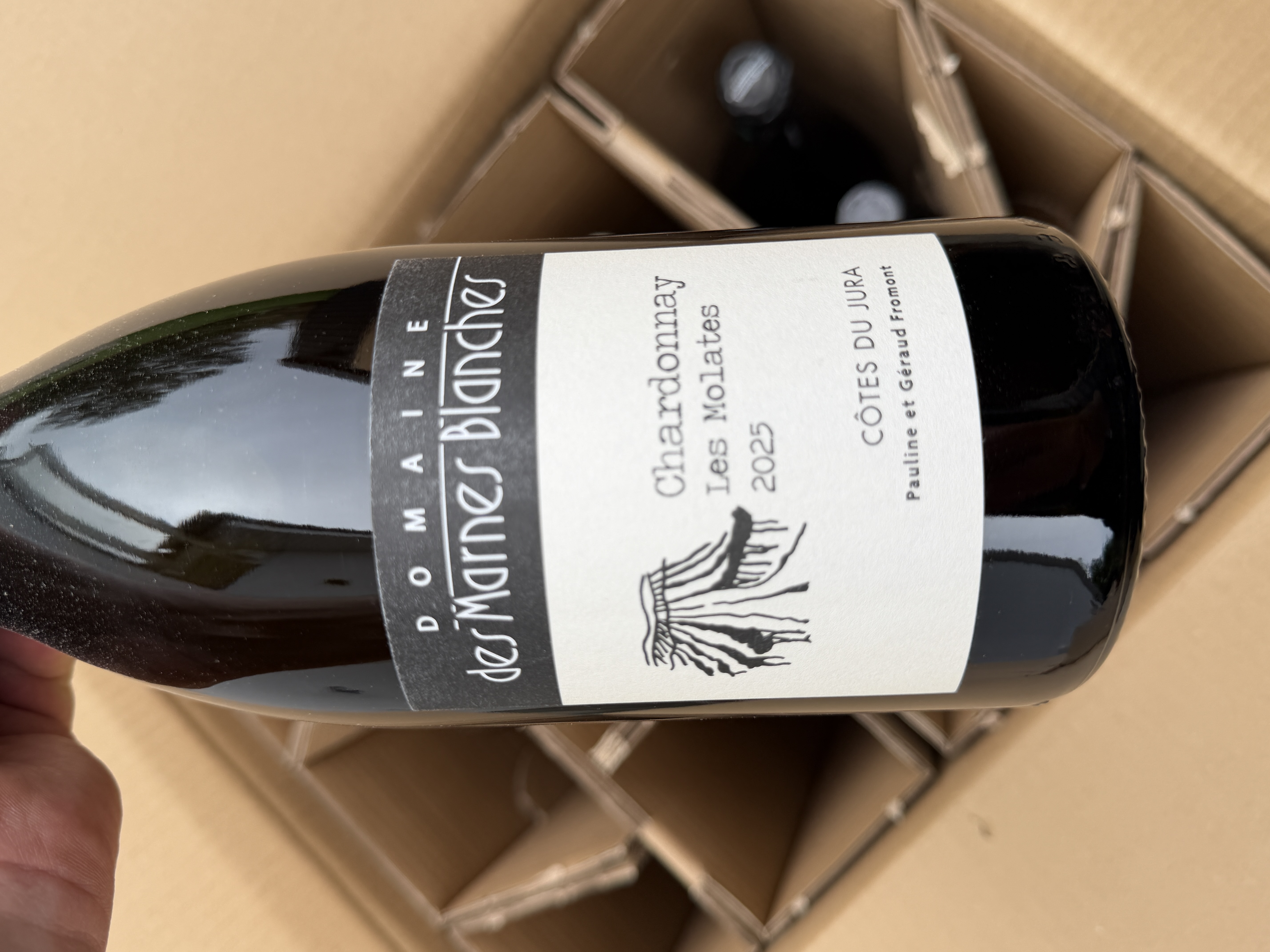 Domaine des Marnes Blanches - Chardonnay Les Molates 2025 - Søllerød Vin