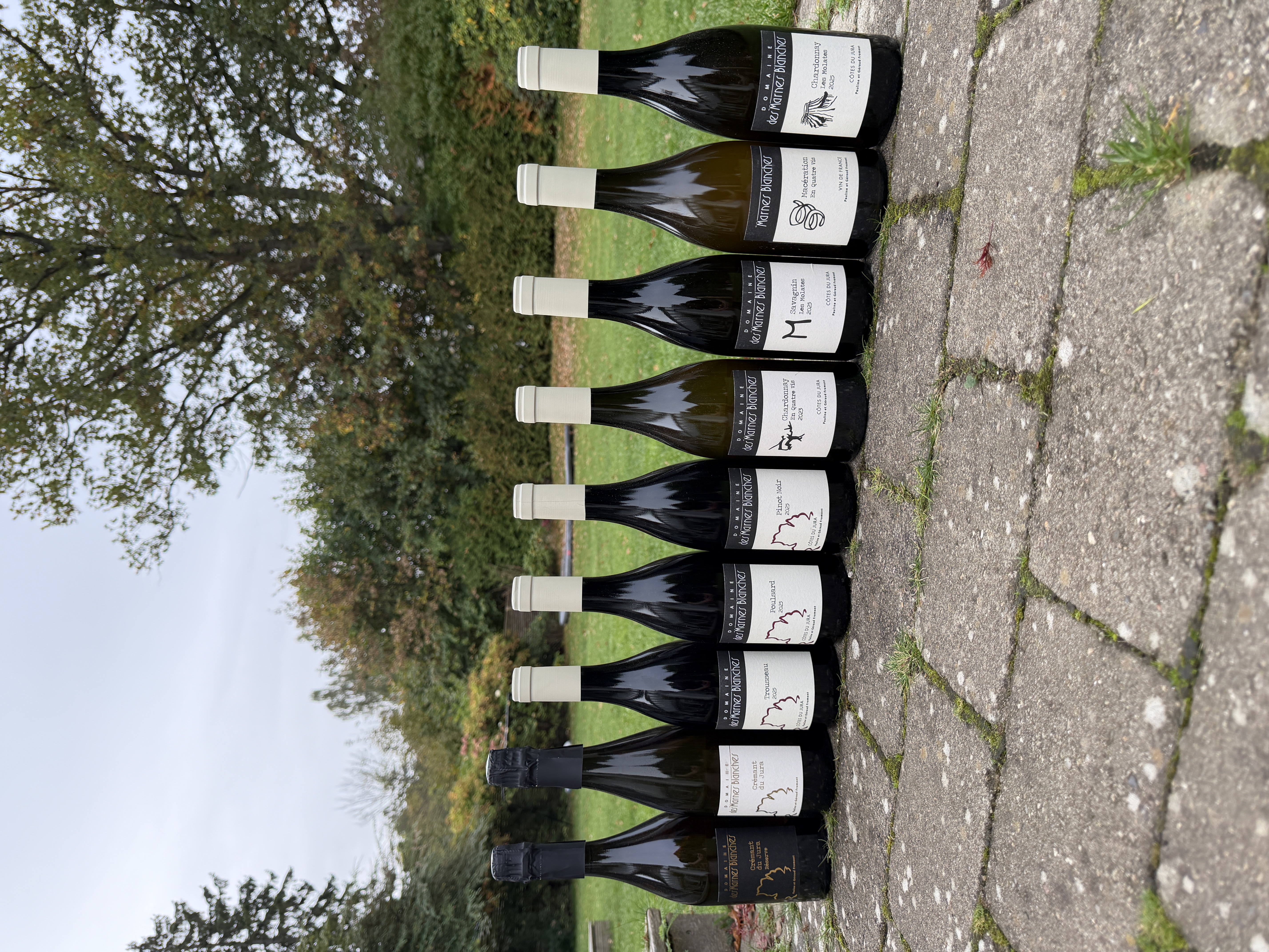 Domaine des Marnes Blanches - Søllerød Vin