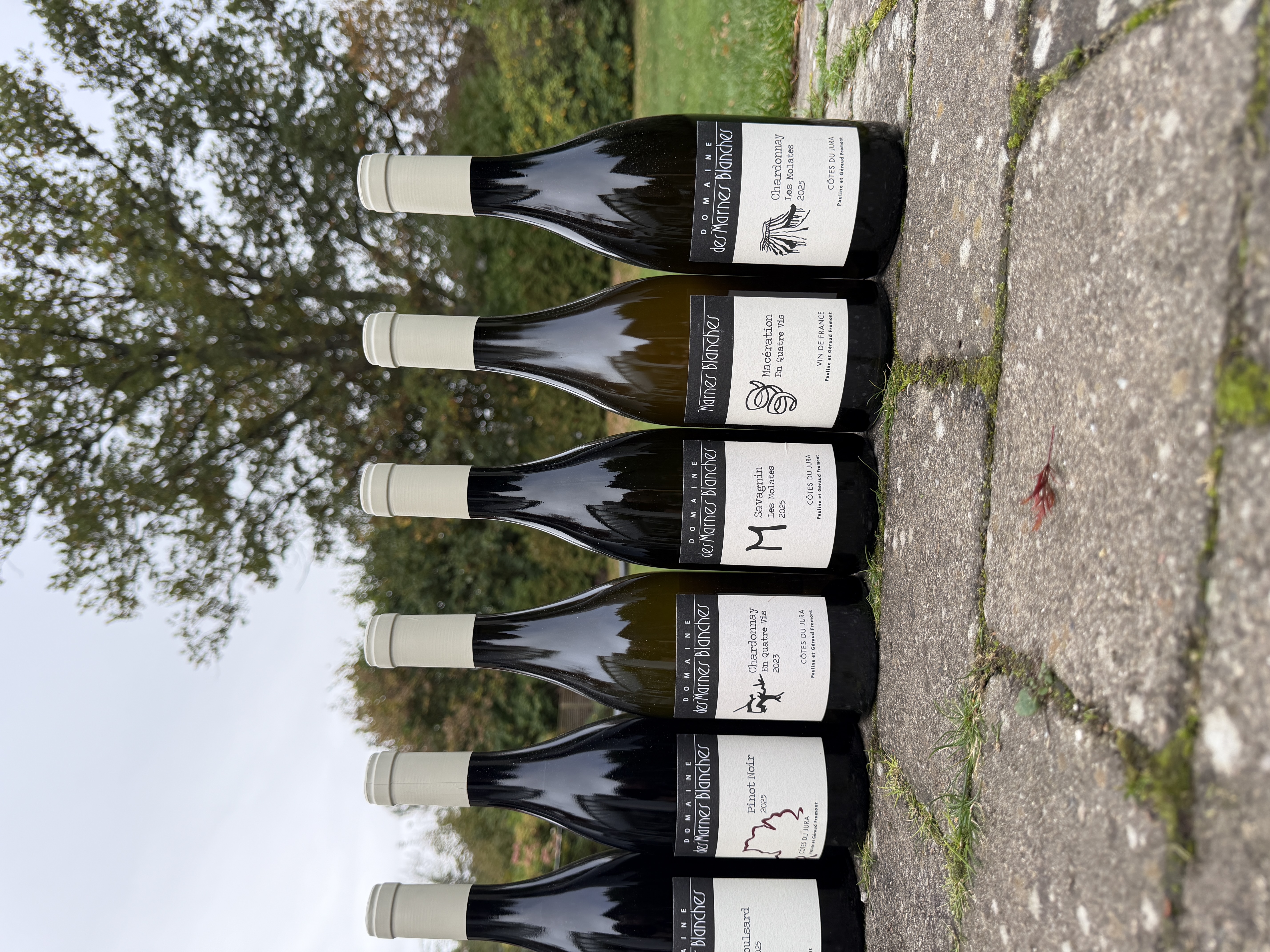 Domaine des Marnes Blanches vine hos Søllerød Vin