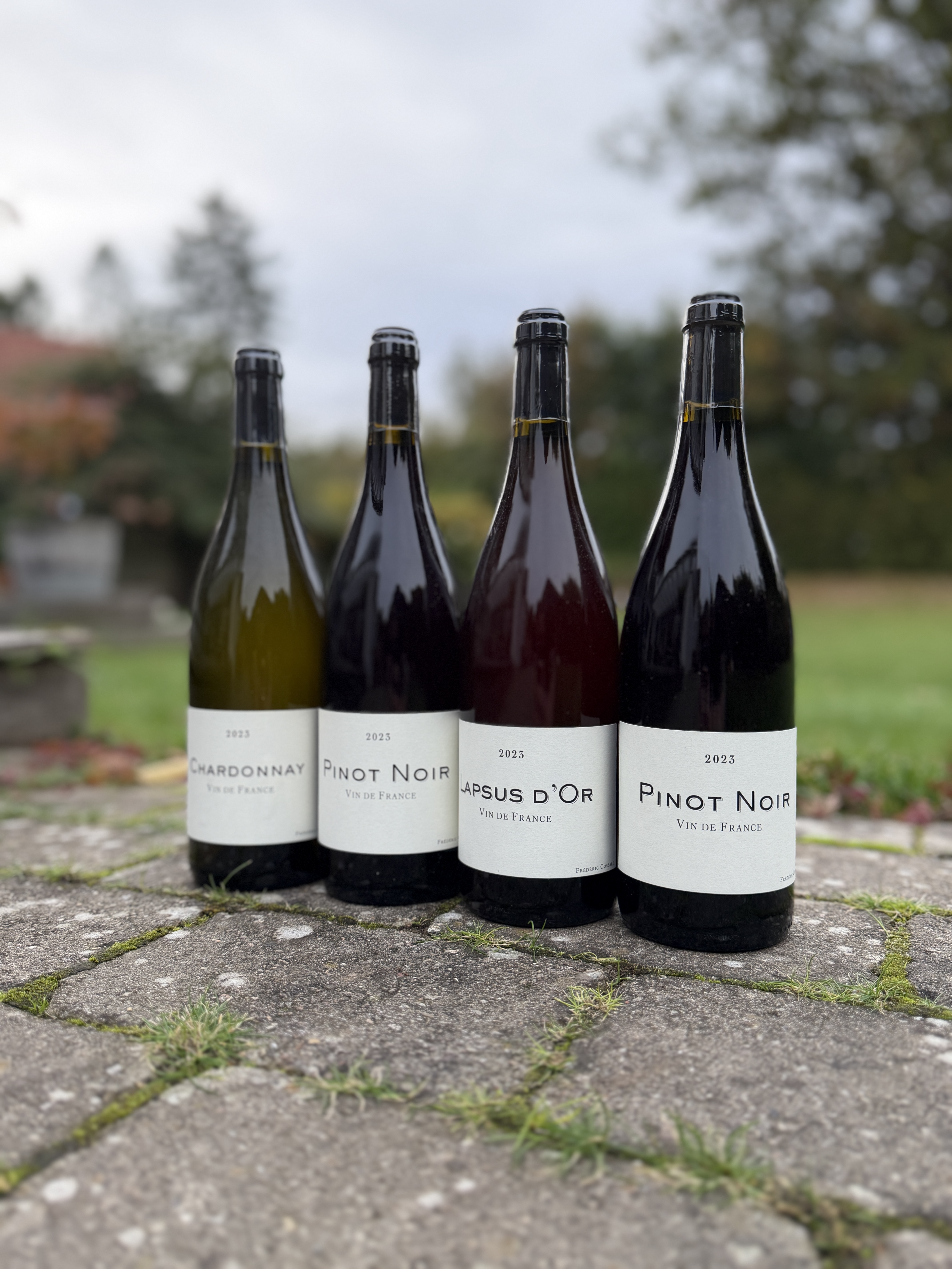 Frédéric Cossard- Søllerød Vin