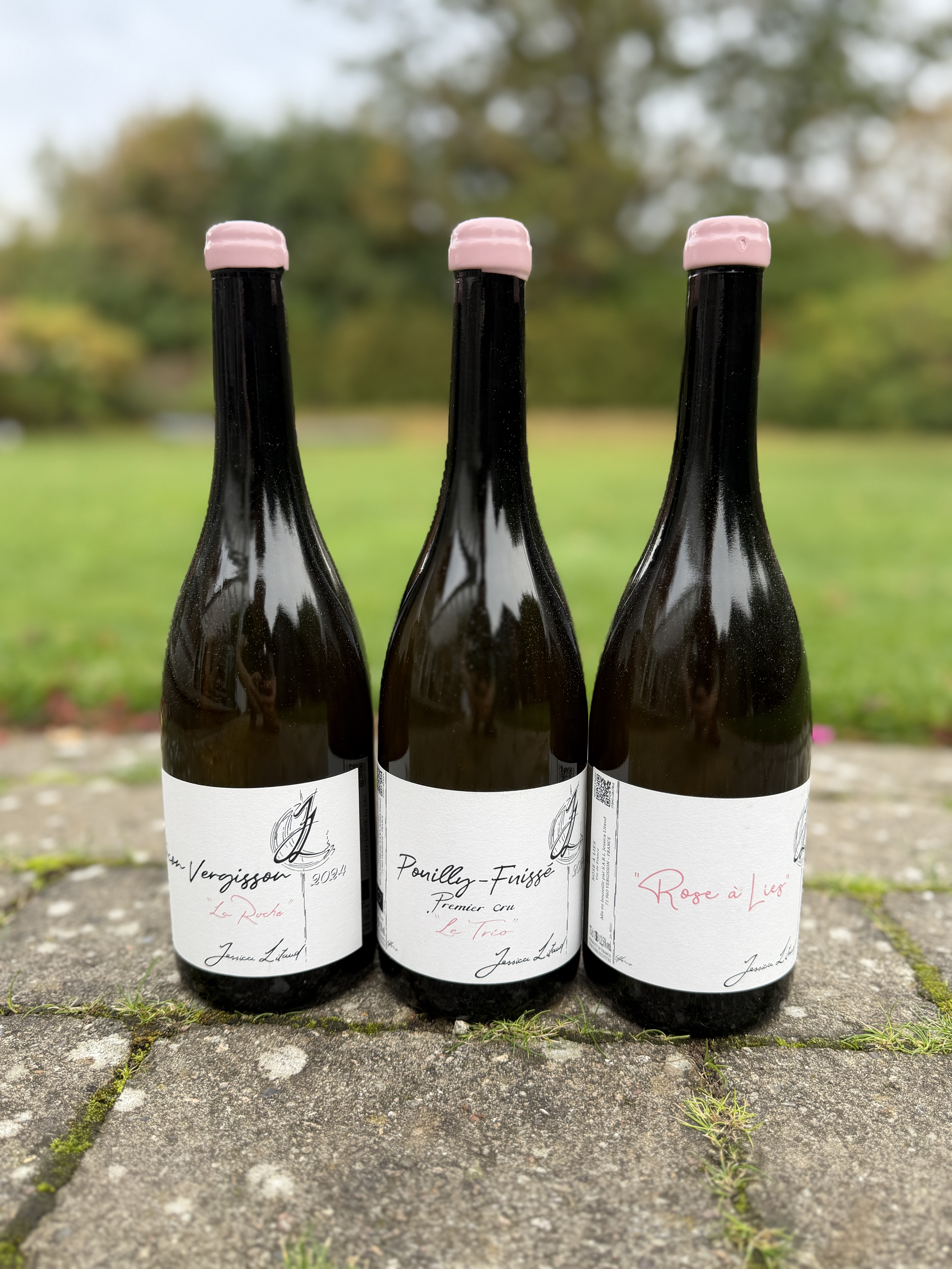 Jessica Litaud - Søllerød Vin