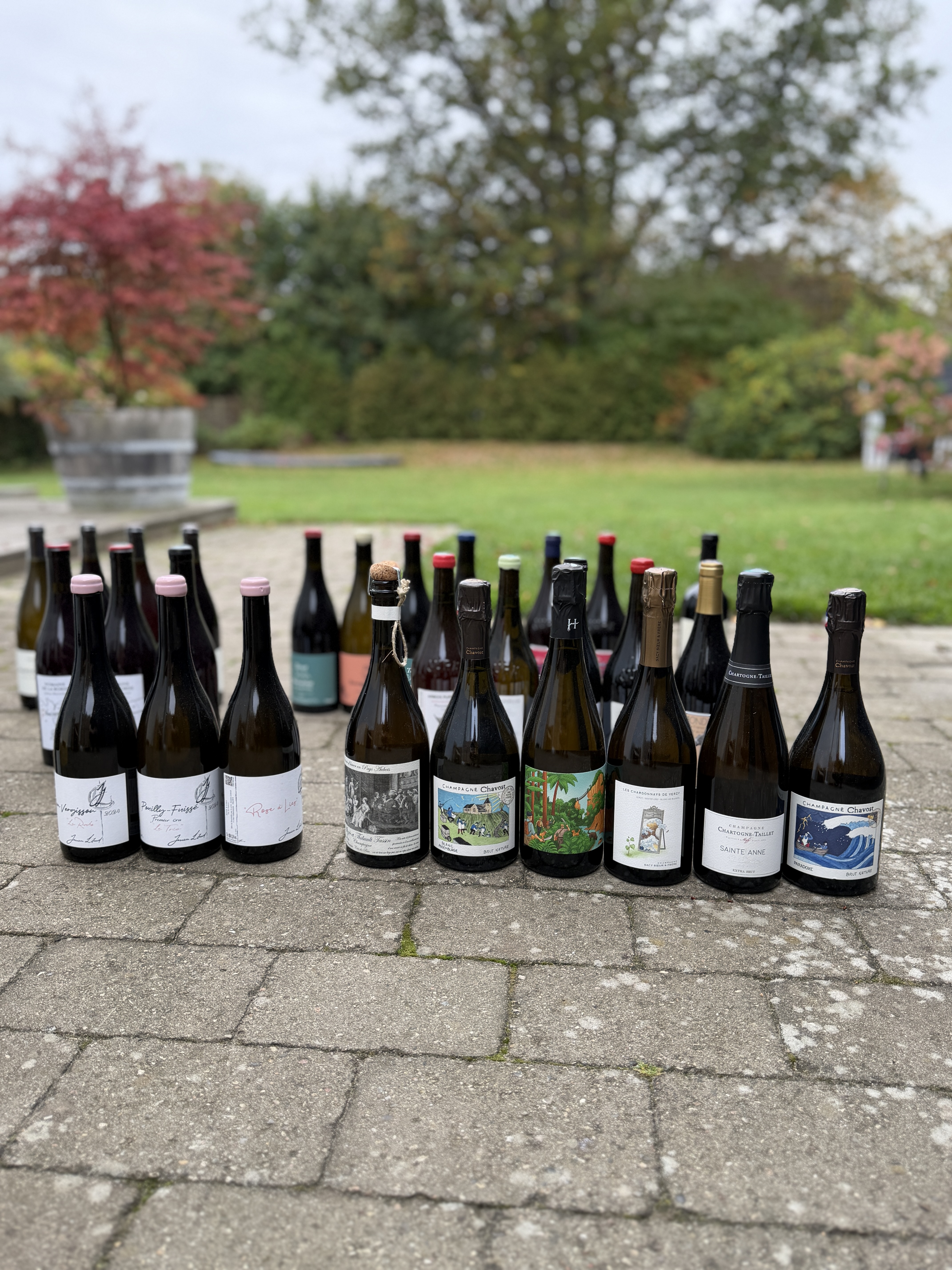 Champagne - Søllerød Vin
