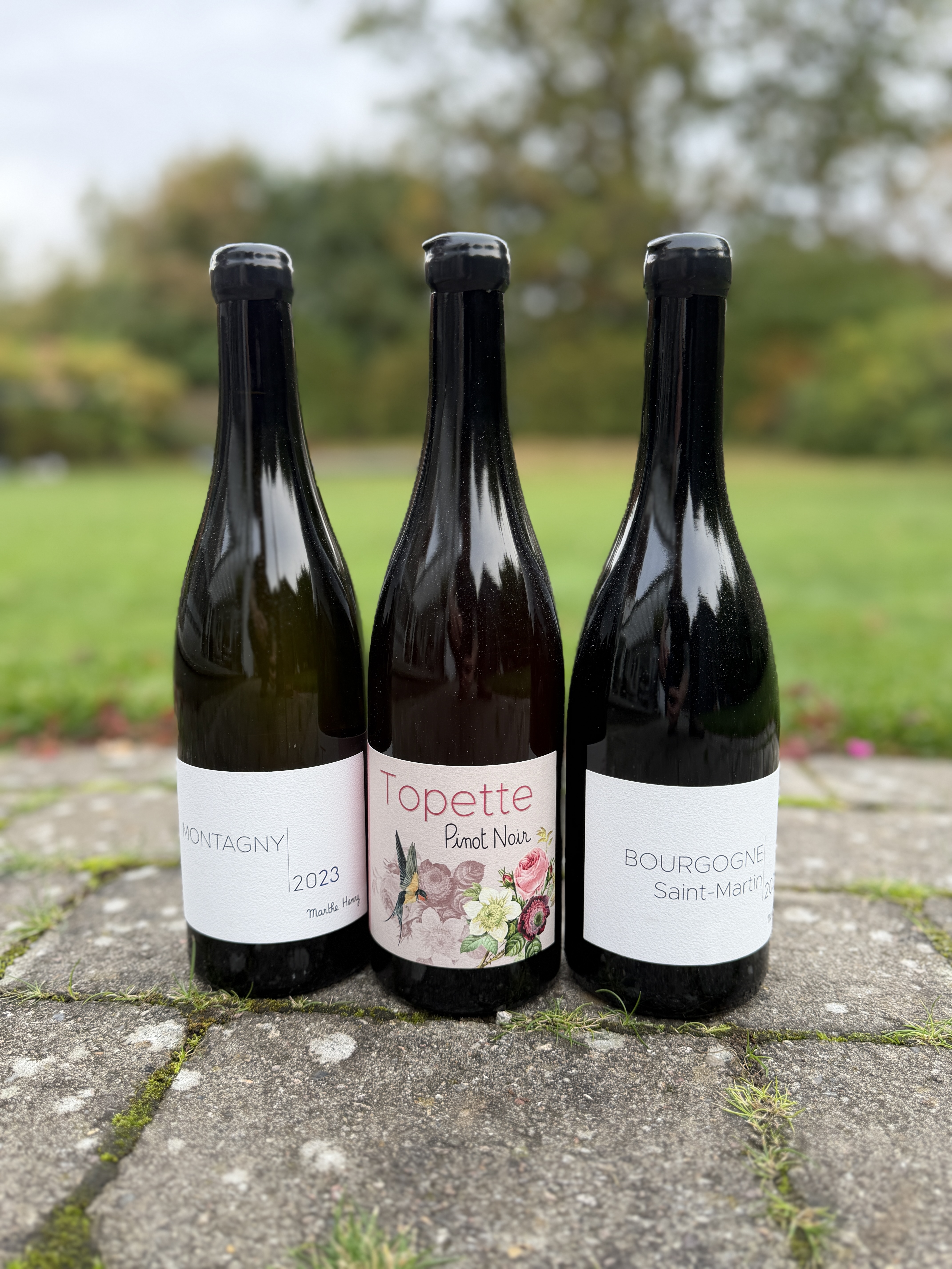 Marthe Henry - Søllerød VIn