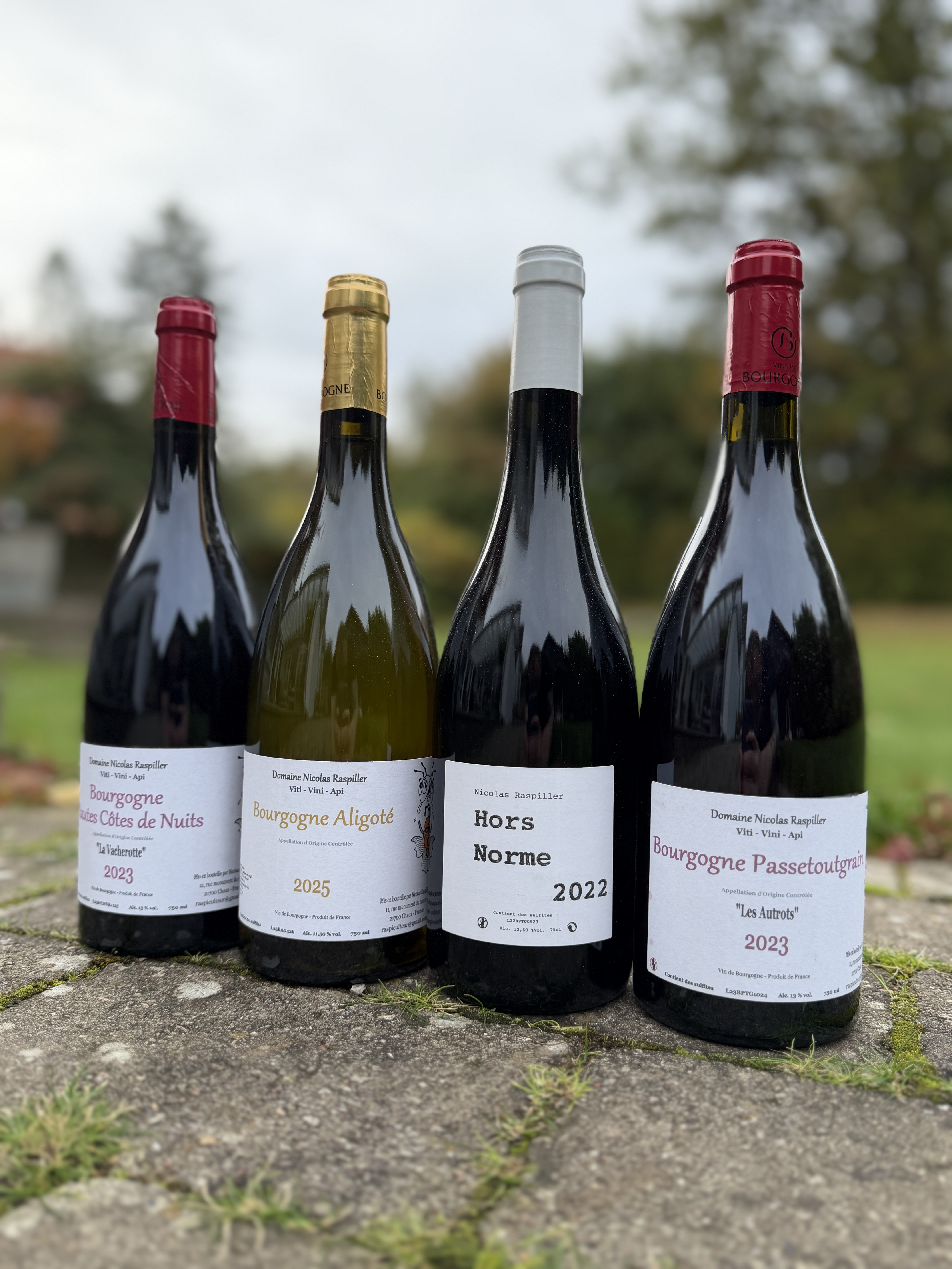 Nicholas Raspiller - Søllerød Vin