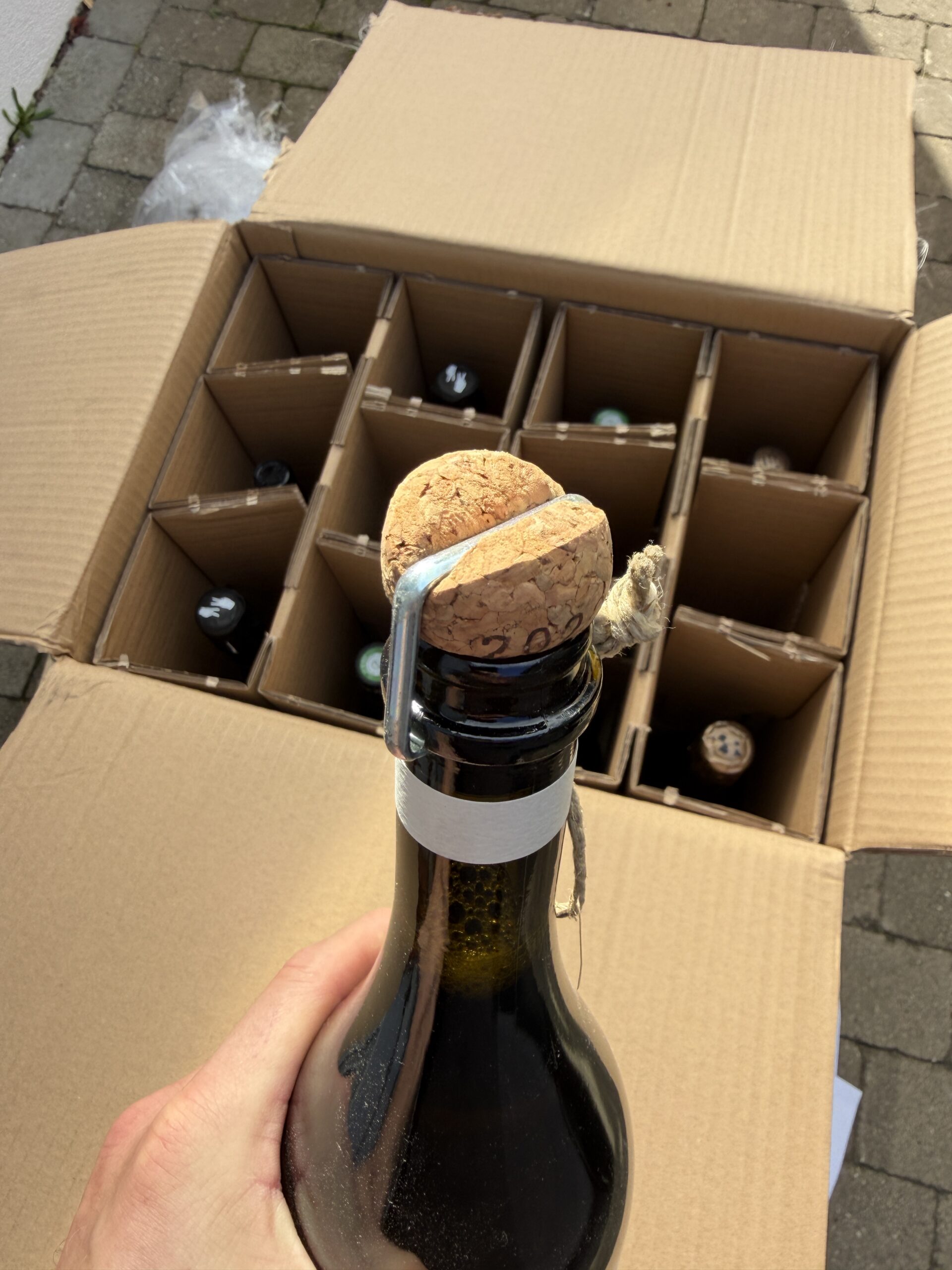 Thibault Tassin Champagne prop - Soirée d'hiver en pays Aubois” - Søllerød Vin