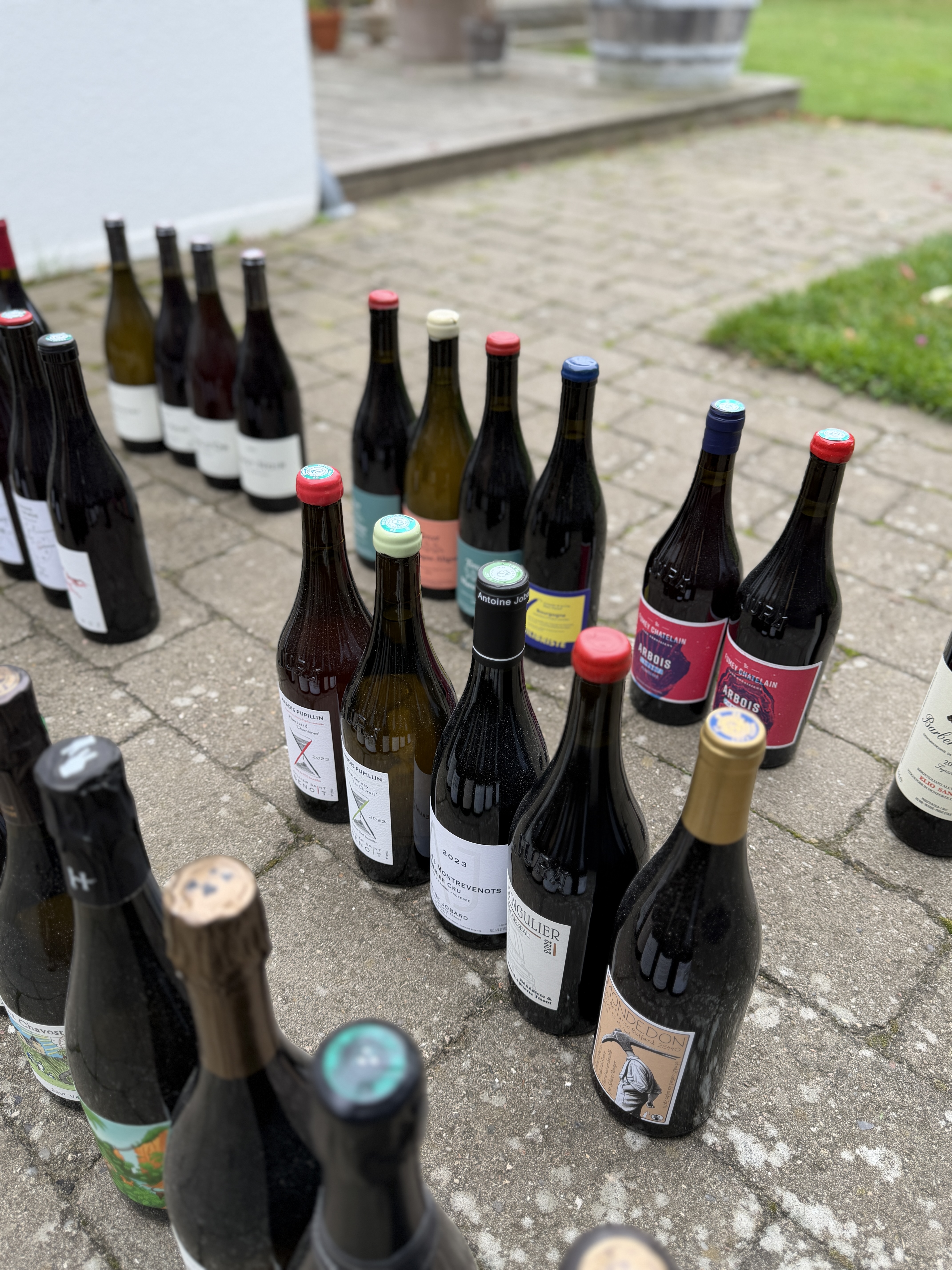 Jura vin - Søllerød Vin